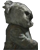 Výherní rasa Výherní rasa